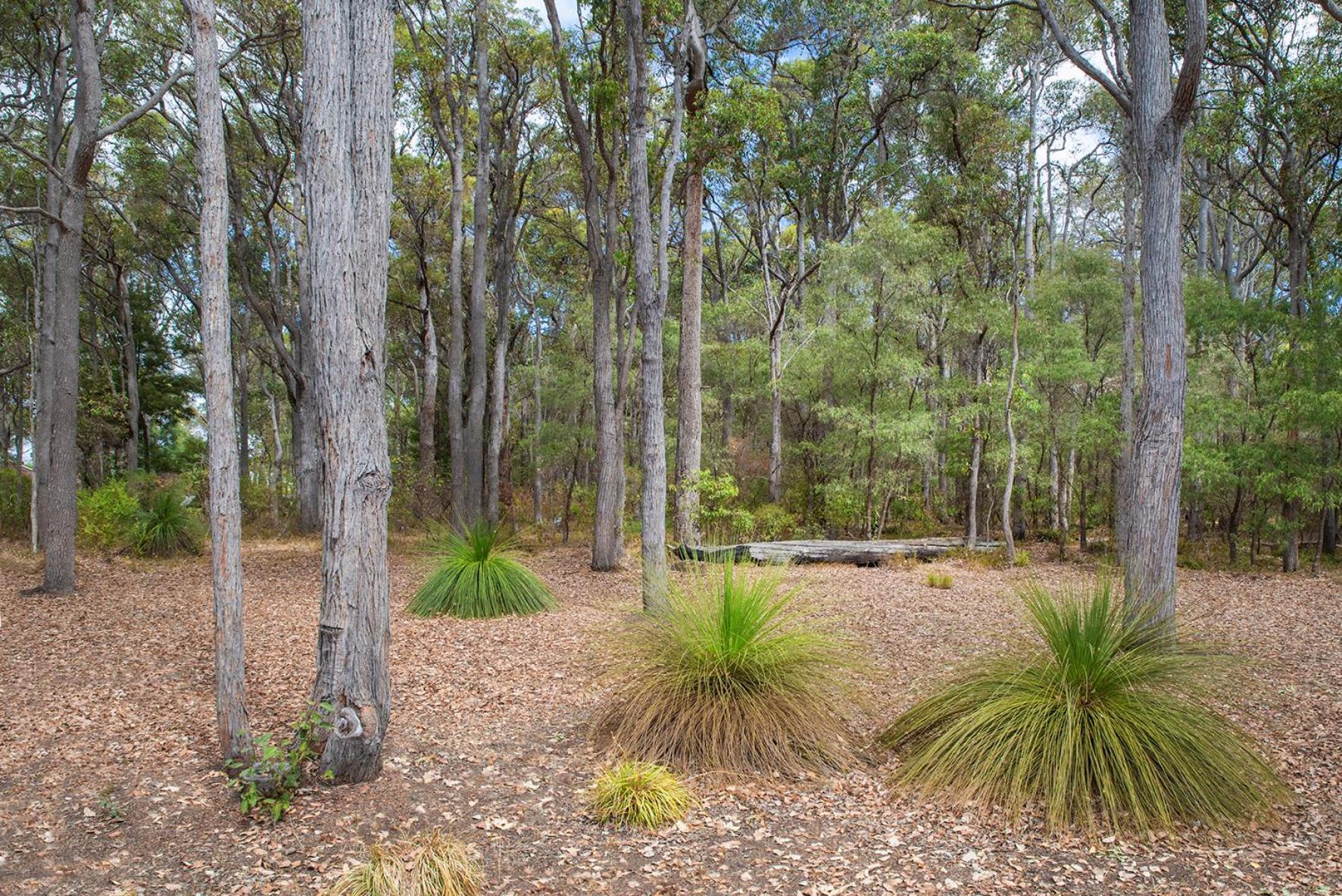 Cape Illawarra Holiday House Margaret River Villa Esterno foto