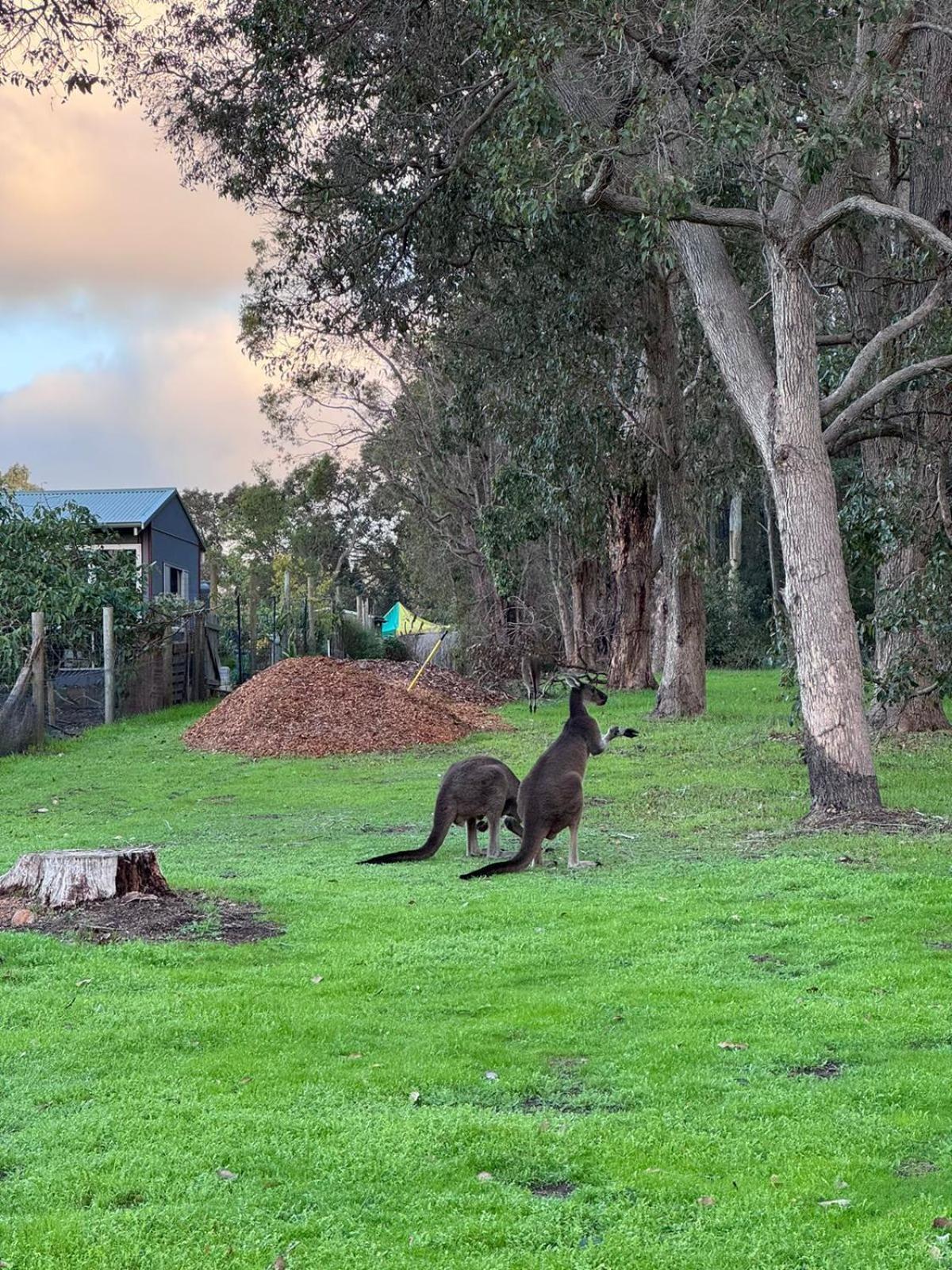 Cape Illawarra Holiday House Margaret River Villa Esterno foto